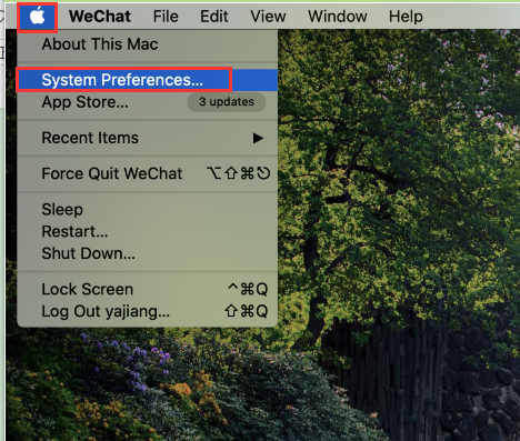 teamviewer on mac system preferences